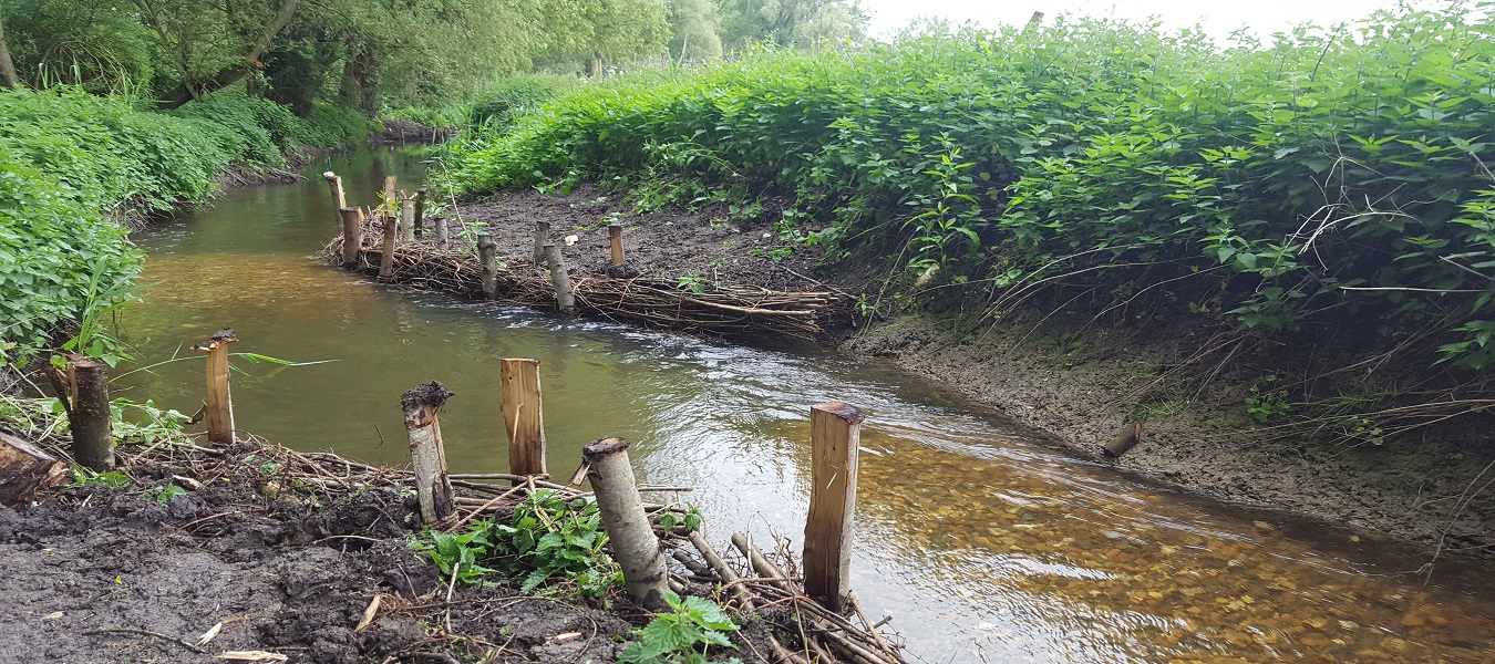Fish Passage