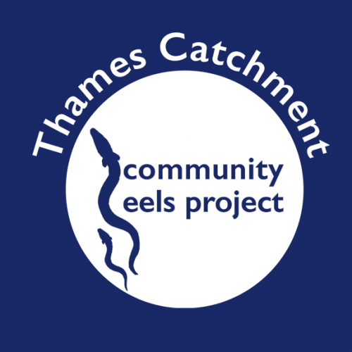 Thames Catchment Community Eels Project