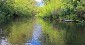 River Lambourn
