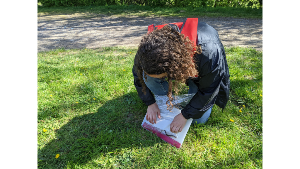 Elver monitoring