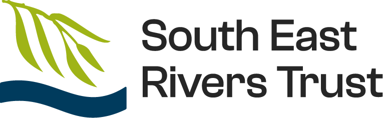 SERT_Logo-main